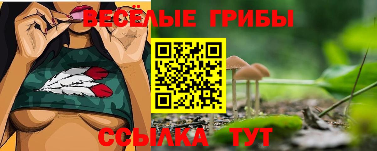 Галлюциногенные грибы мицелий  Вход с VPN  Тимашёвск 